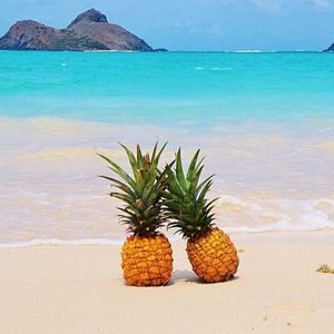 Meet your Posher, Ericka